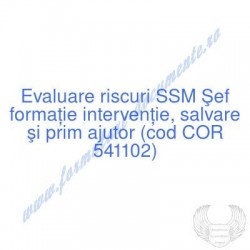 Şef formaţie intervenţie,...