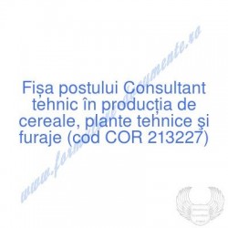 Consultant tehnic în...