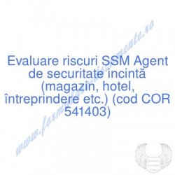 Agent de securitate incintă...