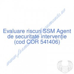 Agent de securitate...