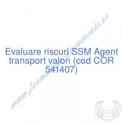 Agent transport valori (cod...