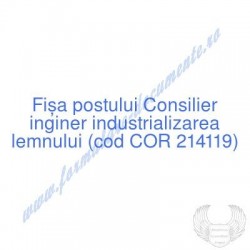 Consilier inginer...
