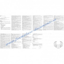 Director magazin (cod COR...
