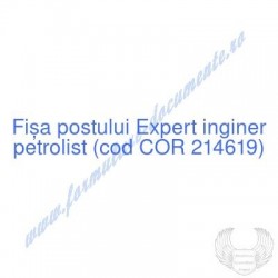 Expert inginer petrolist...