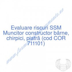 Muncitor constructor bârne,...