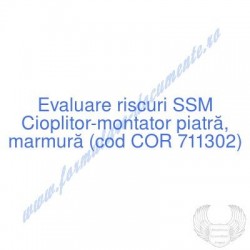 Cioplitor-montator piatră,...