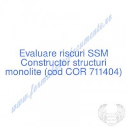 Constructor structuri...
