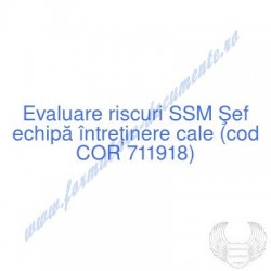 Şef echipă întreţinere cale...