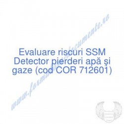 Detector pierderi apă şi...