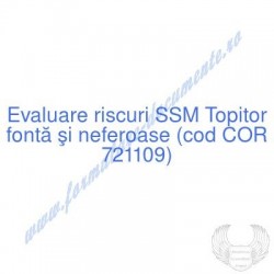 Topitor fontă şi neferoase...