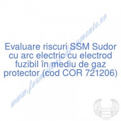 Sudor cu arc electric cu...