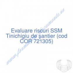 Tinichigiu de şantier (cod...
