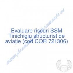 Tinichigiu structurist de...