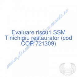 Tinichigiu restaurator (cod...