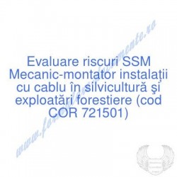 Mecanic-montator instalaţii...