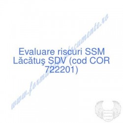 Lăcătuş SDV (cod COR...