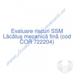 Lăcătuş mecanică fină (cod...
