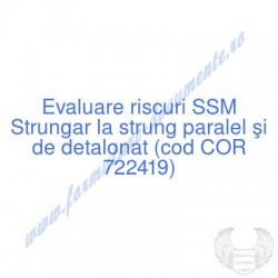 Strungar la strung paralel...