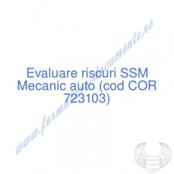 Mecanic auto (cod COR...