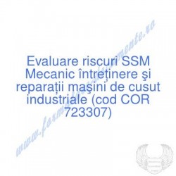 Mecanic întreţinere şi...
