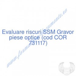 Gravor piese optice (cod...