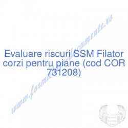 Filator corzi pentru piane...