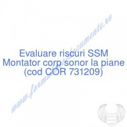Montator corp sonor la...