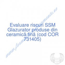Glazurator produse din...