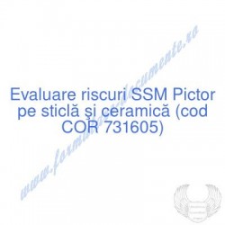 Pictor pe sticlă şi...