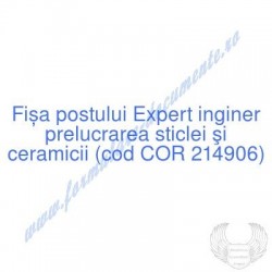 Expert inginer prelucrarea...