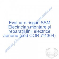 Electrician montare şi...