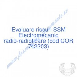 Electromecanic...