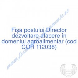 Director dezvoltare afacere...
