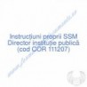 Director instituţie publică (cod COR 111207) - Instrucțiuni proprii SSM