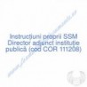 Director adjunct instituţie publică (cod COR 111208) - Instrucțiuni proprii SSM