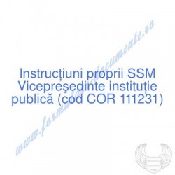 Vicepreşedinte instituţie...
