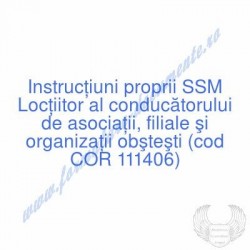 Locţiitor al conducătorului...