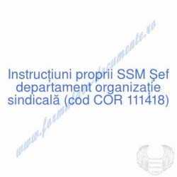 Şef departament organizaţie...