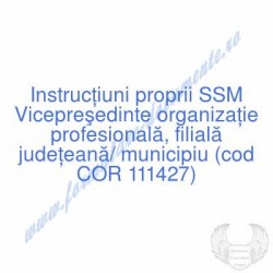 Vicepreşedinte organizaţie...