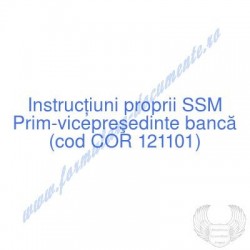 Prim-vicepreşedinte bancă...