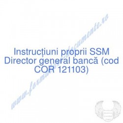 Director general bancă (cod...
