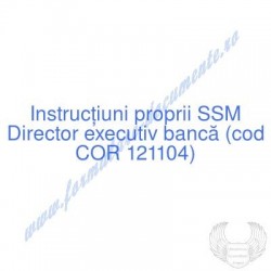 Director executiv bancă...
