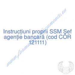 Şef agenţie bancară (cod...