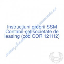 Contabil-şef societate de...