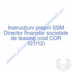 Director financiar...