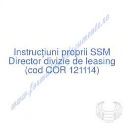 Director divizie de leasing...