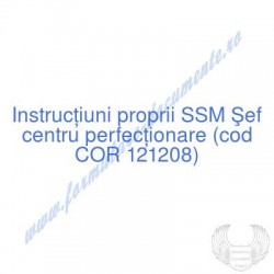 Şef centru perfecţionare...