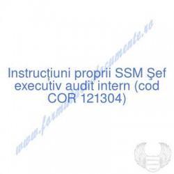 Şef executiv audit intern...