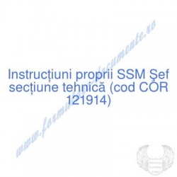Şef secţiune tehnică (cod...