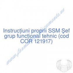 Şef grup funcţional tehnic...